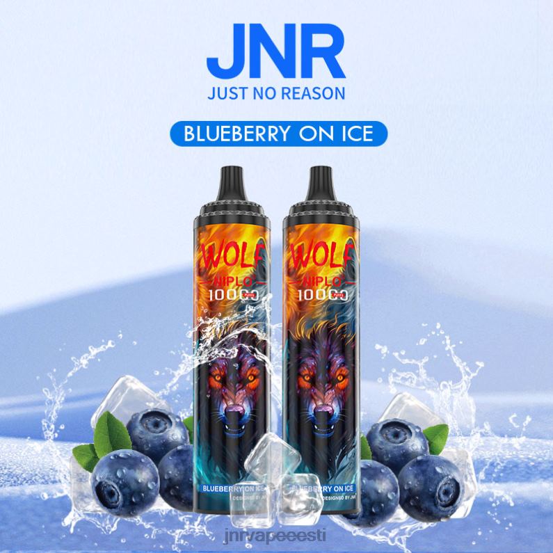 JNR Vape Flavours - jnr hunt niplo mustikas jääl HLN2X358