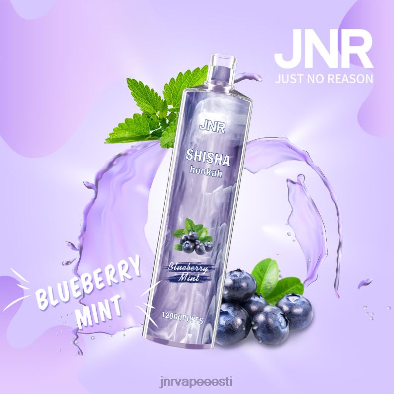 JNR Vape Eesti - jnr Shisha mustika piparmünt HLN2X172