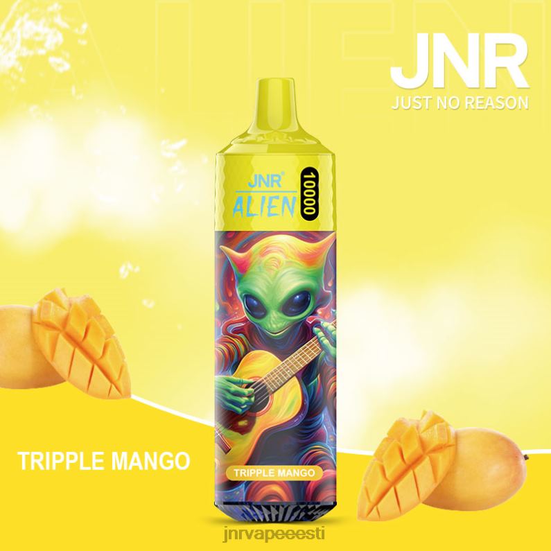 JNR Vape Flavours - jnr tulnukas kolmekordne mango HLN2X148