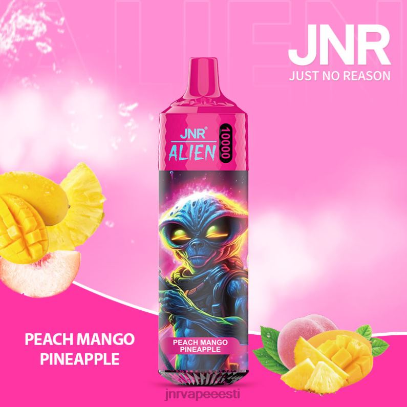 JNR Vape Price - jnr tulnukas virsiku mango ananass HLN2X151