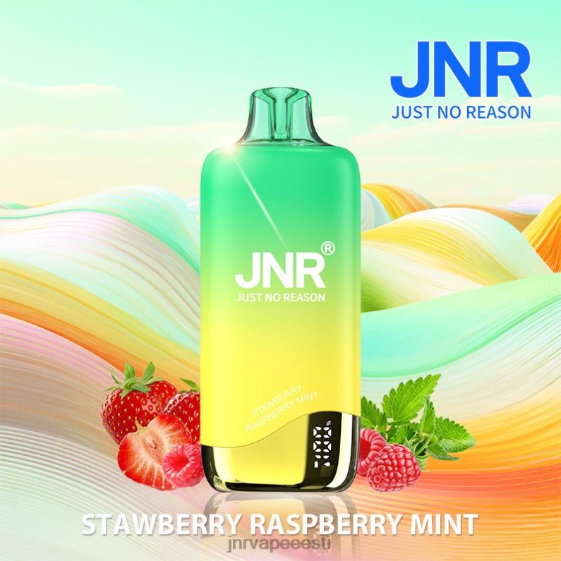 JNR Vape Flavours - jnr vikerkaar maasikas vaarikas piparmünt HLN2X268